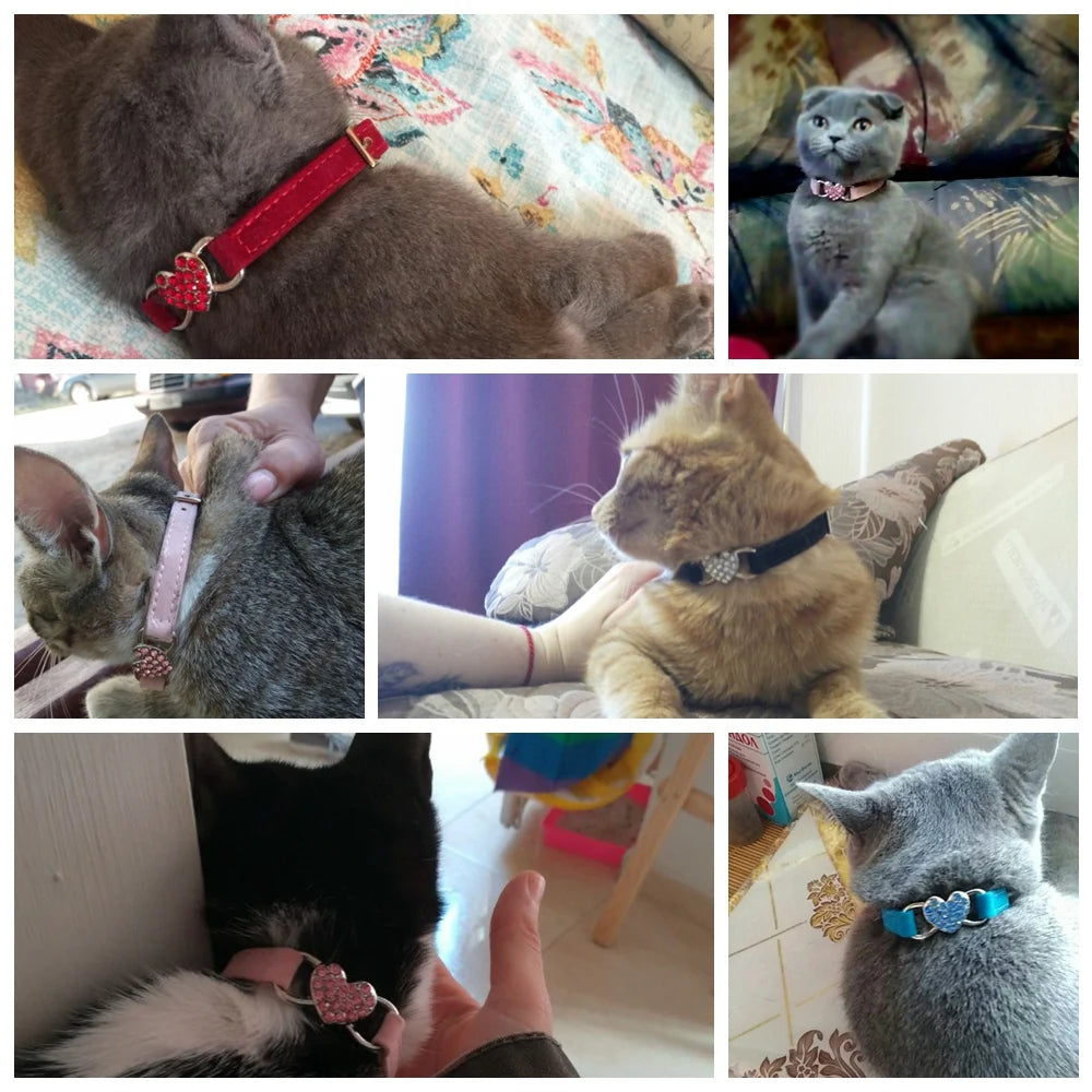 Collare per gatti con campanellino diversi colori